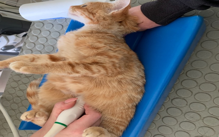 Zbiórka Drogi lek albo ŚMIERĆ - zdjęcie główne