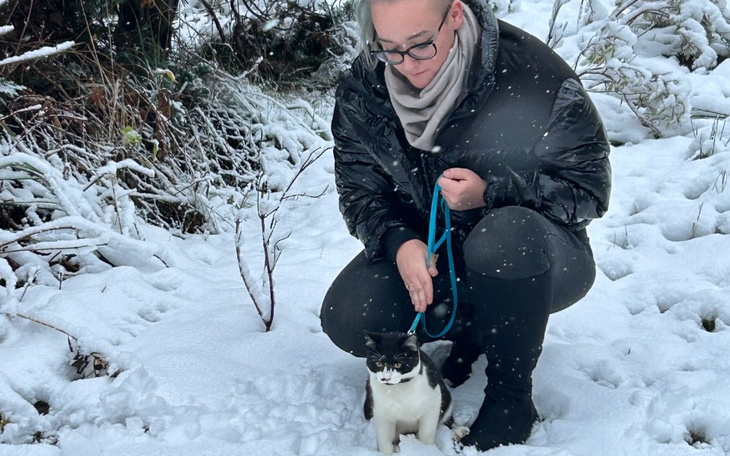 Zbiórka Na kawalerke w ciezkiej sytuacji - zdjęcie główne