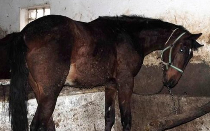 Zbiórka Karino - zdjęcie główne