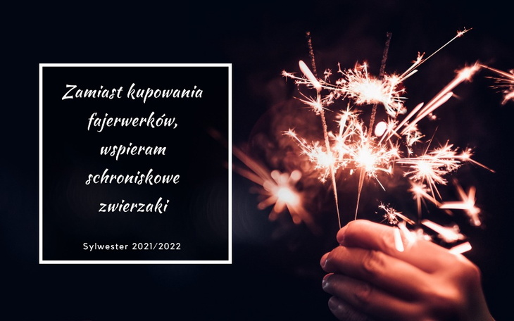 Zbiórka W sylwestra dla Schroniska - zdjęcie główne