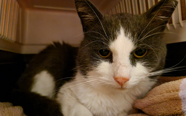 Grupa osób w czerwonych koszulkach na boisku sportowym.