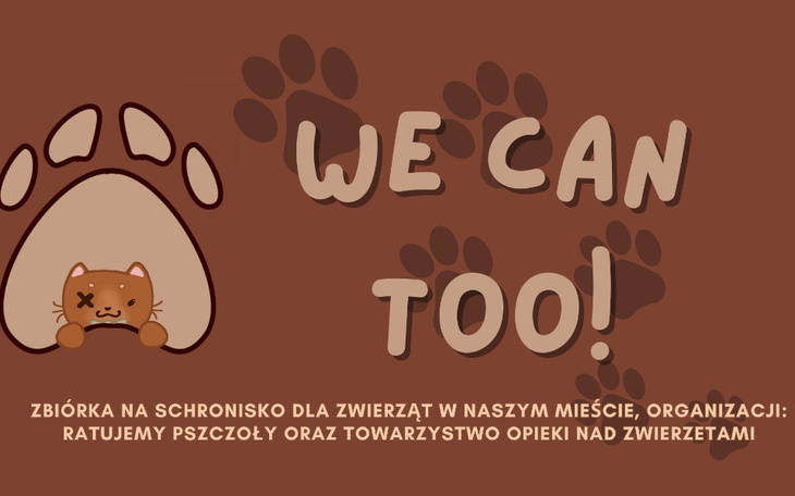 Zbiórka na schronisko dla zwierząt w naszym mieście.