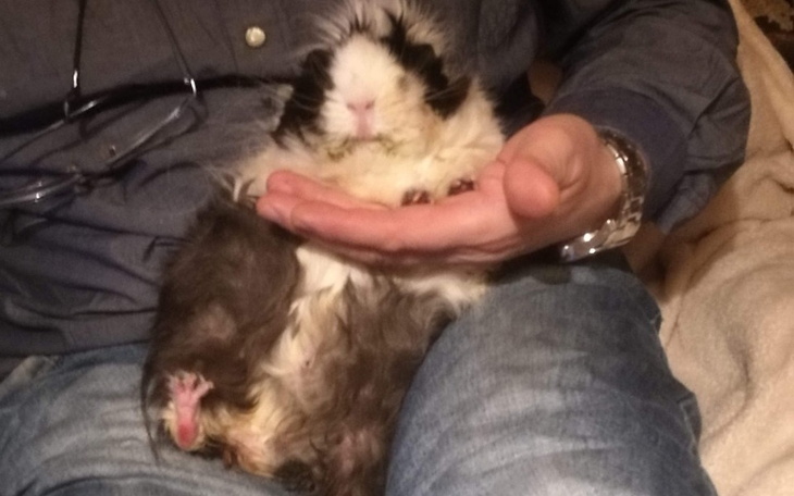 Zbiórka Proszę o ratunek dla mojej Basi - zdjęcie główne