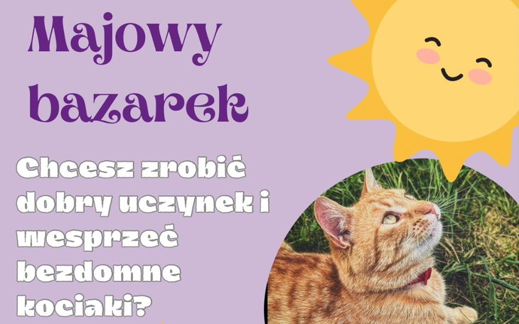 Zbiórka Majowy Bazarek - zdjęcie główne
