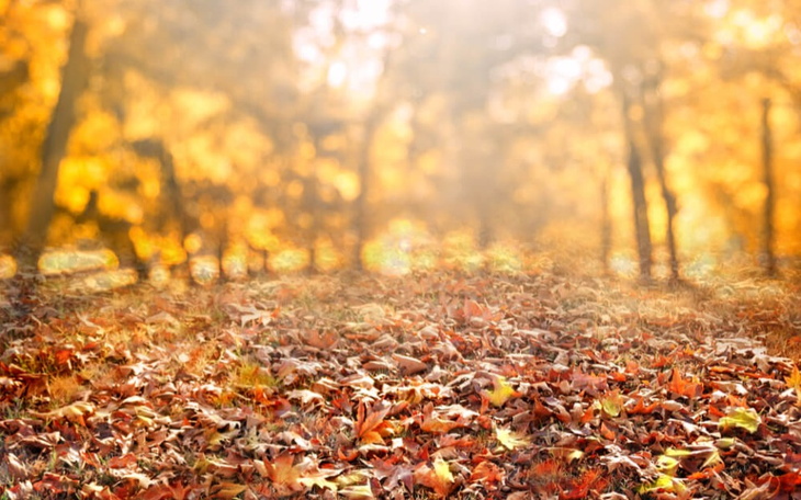 Zbiórka Na środki dla chorej osoby - zdjęcie główne