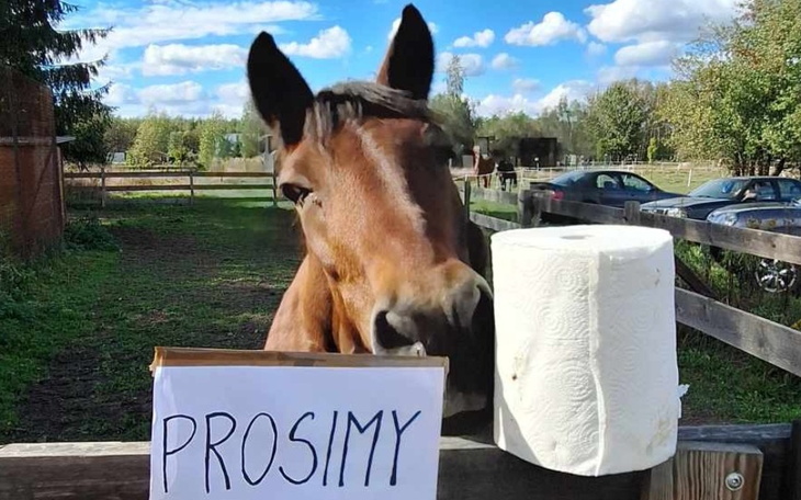 Zbiórka Ręczniki papierowe na październi - zdjęcie główne