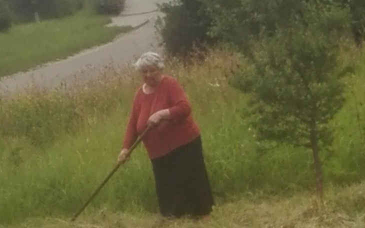 Zbiórka Marzenie starszej pani - zdjęcie główne