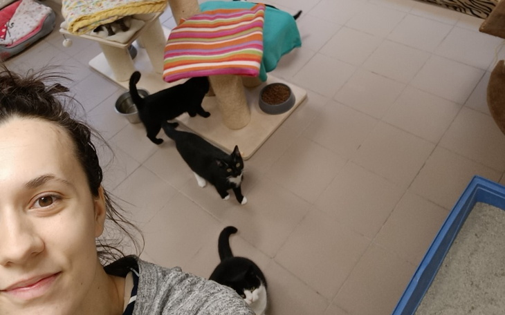 Zbiórka Po pełne brzuchy - zdjęcie główne