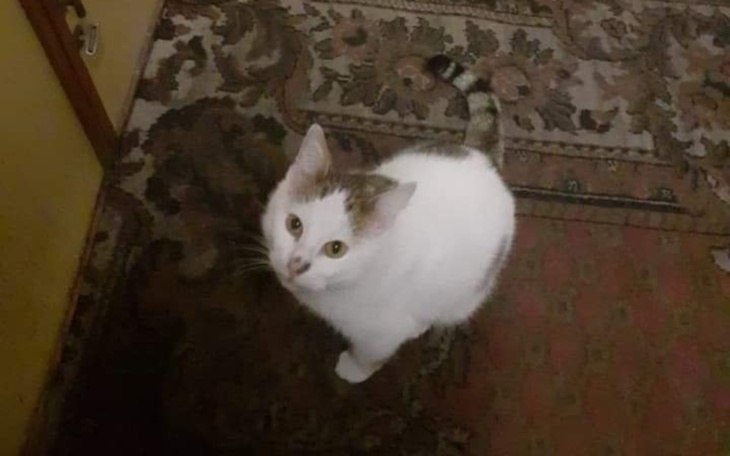 Zbiórka Uchronić przed śmiercią głodową - zdjęcie główne