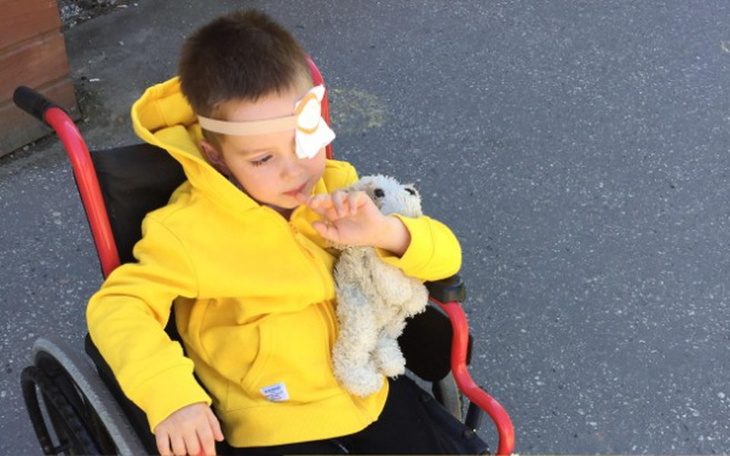 Zbiórka Bruno kontra nowotwór mózgu - zdjęcie główne