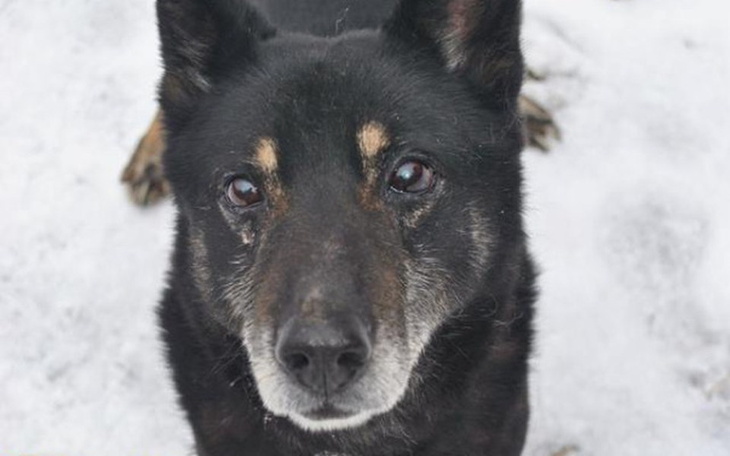 Zbiórka Dla seniorków w Cyganowie - zdjęcie główne