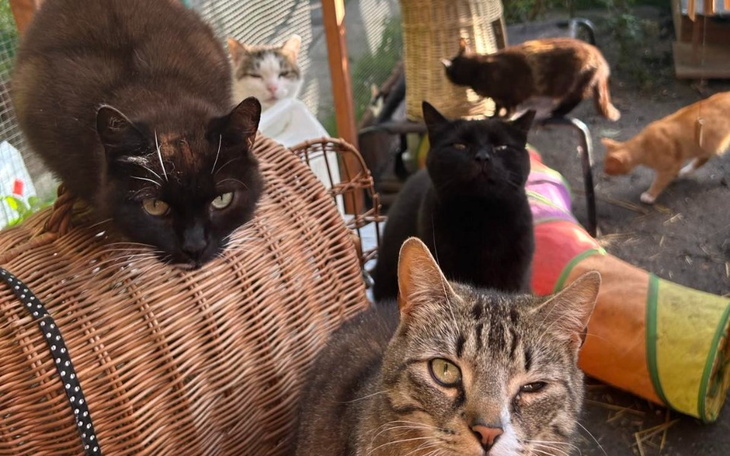 Zbiórka By nie stracić wszystkiego - zdjęcie główne