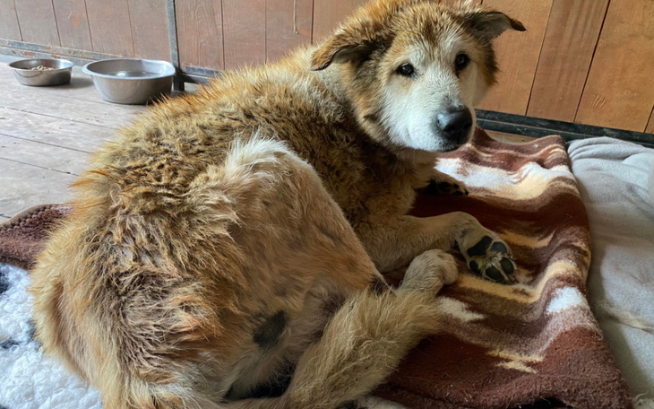 Zbiórka Smutna starość - zdjęcie główne