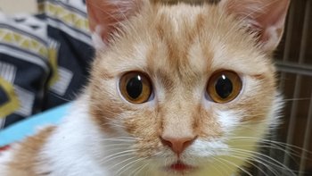 Zbiórka Wsparcie przystani łezka faktury - miniaturka zdjęcia