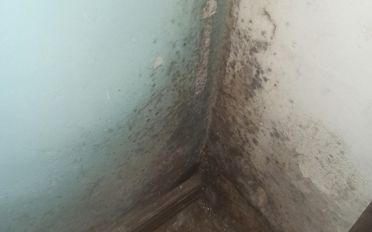 Zbiórka Na pierwszą wpłatę - zdjęcie główne