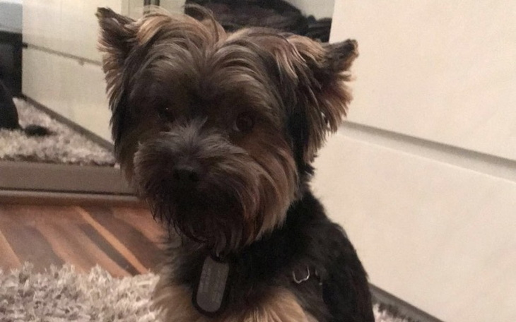 Zbiórka Operacja miednicy Teddiego - zdjęcie główne