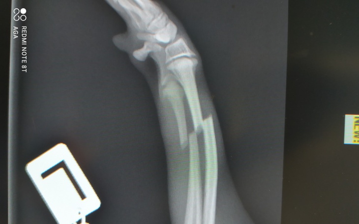 Zbiórka Operacja złamanej nogi Charcika - zdjęcie główne