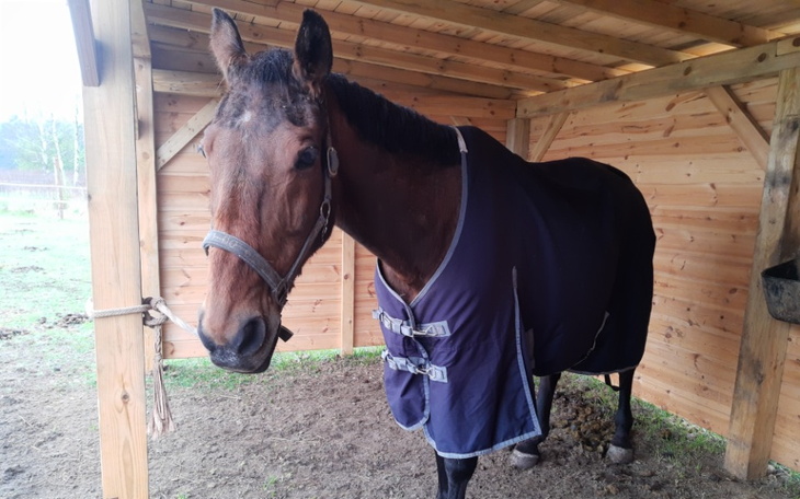 Zbiórka Na leczenie w klinice - zdjęcie główne