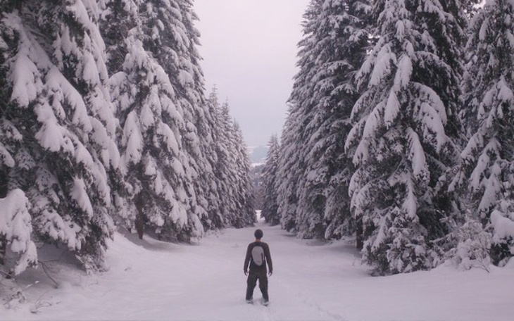Zbiórka Złapać w kadrze - zdjęcie główne