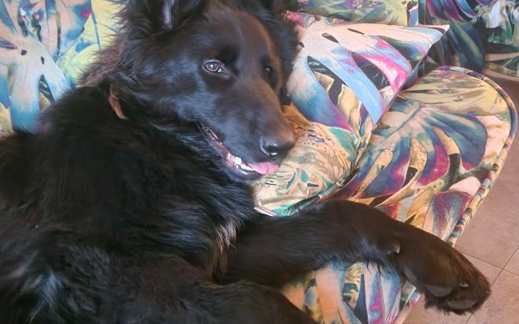 Zbiórka Walczymy o życie i sprawność Igo - zdjęcie główne