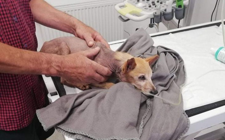 Zbiórka Ratujemy staruszka - zdjęcie główne