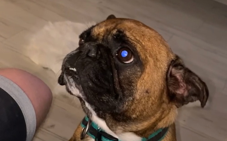 Zbiórka Ratowanie zdrowia Bakusia - zdjęcie główne