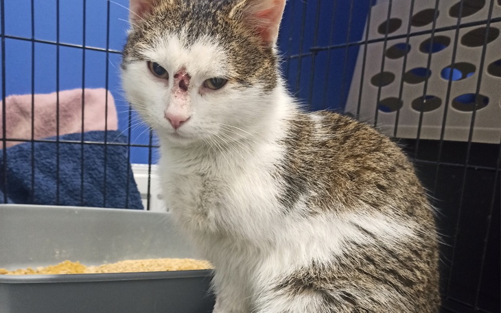 Zbiórka Taki się urodziłem, pomóż proszę - zdjęcie główne