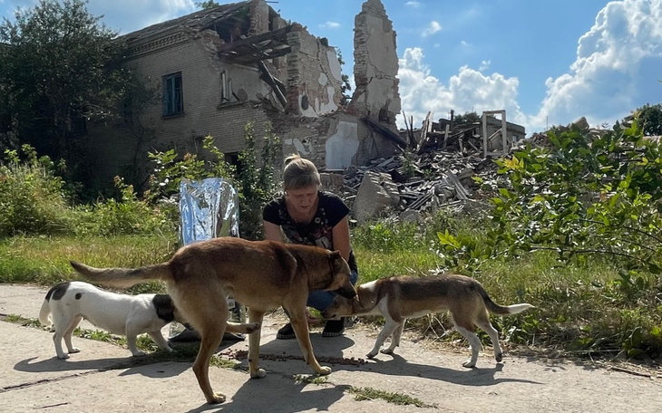 Kobieta opiekująca się psami w zniszczonym otoczeniu.