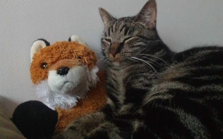 Zbiórka Na operację Huntera - zdjęcie główne