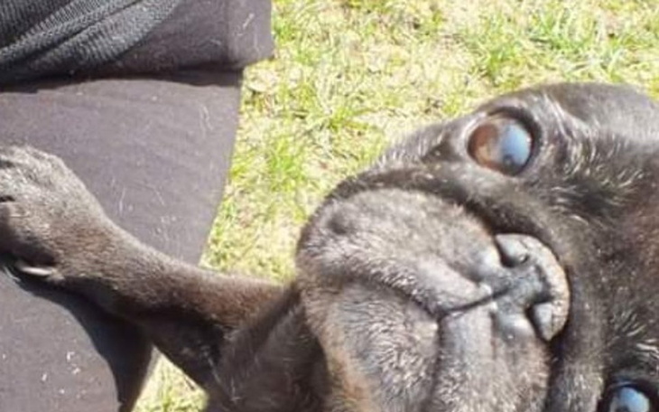 Zbiórka Opał dla samotnej  kobiety - zdjęcie główne