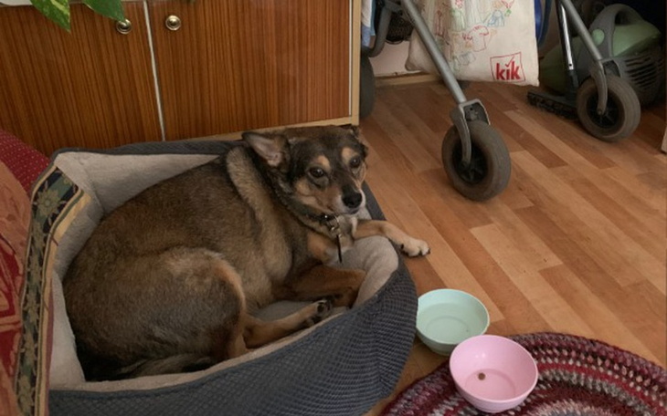 Zbiórka Fatka - zdjęcie główne