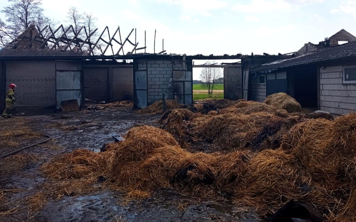 Zbiórka Ogień strawił dach zwierzętom - zdjęcie główne