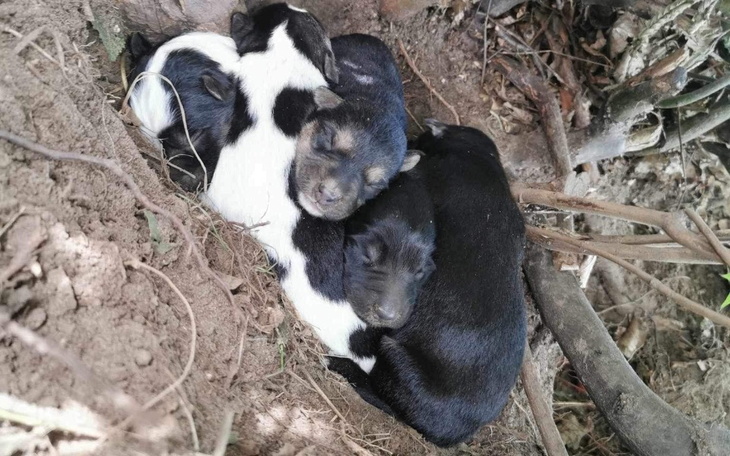 Zbiórka Transport dla rodzinki - zdjęcie główne