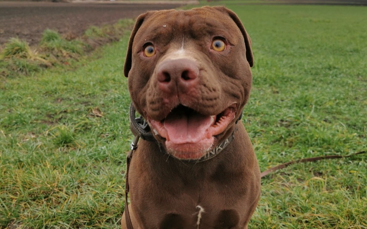 Zbiórka Nowe życie Kovu - zdjęcie główne