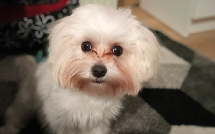 Zbiórka Operacja Pioruna - zdjęcie główne