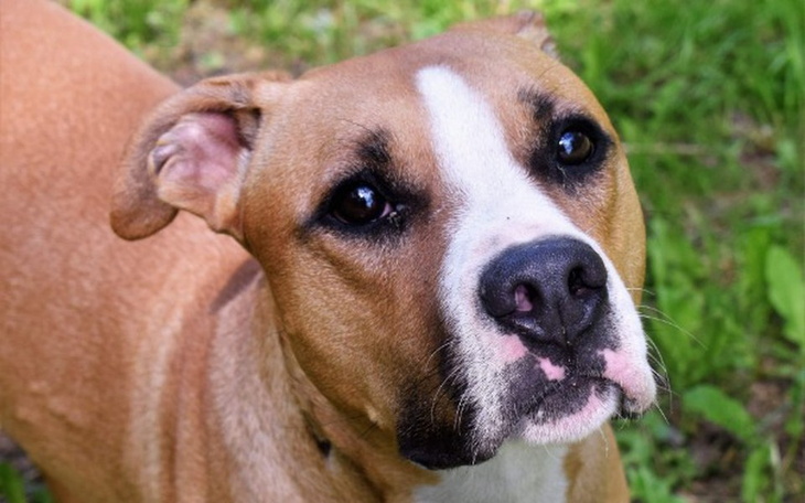 Zbiórka Tajson -droga do domu - zdjęcie główne