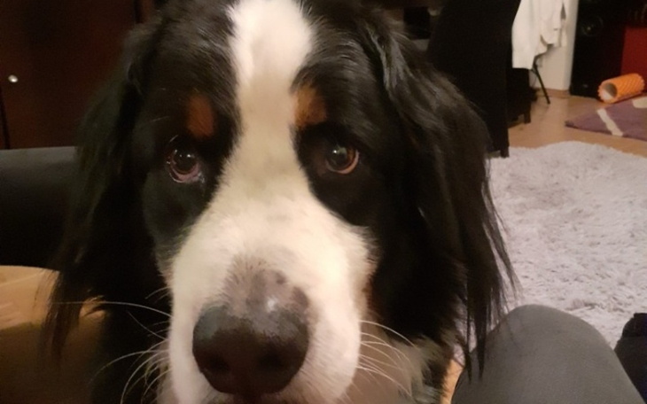 Zbiórka Operacja barneńczyka - zdjęcie główne