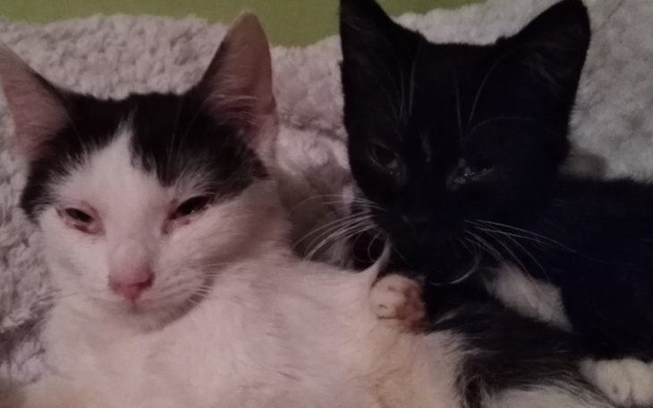 Zbiórka By pomagać i leczyć - zdjęcie główne