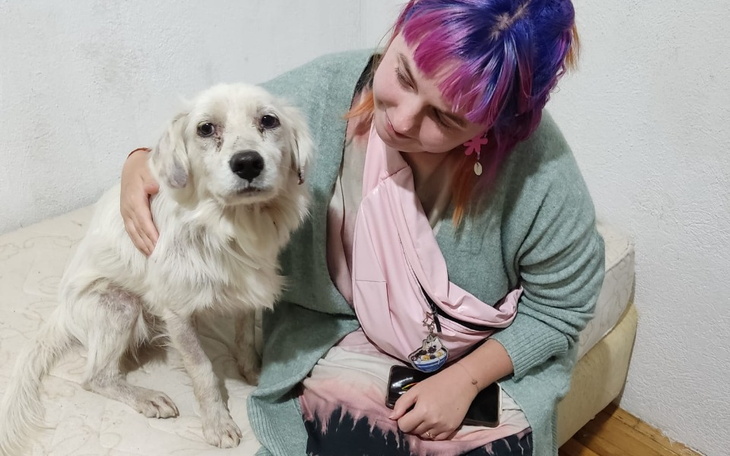 Zbiórka Pomóż mi uratować Falko - zdjęcie główne