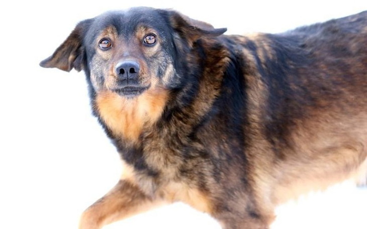 Zbiórka Sony potrzebuje Waszego wsparcia - zdjęcie główne