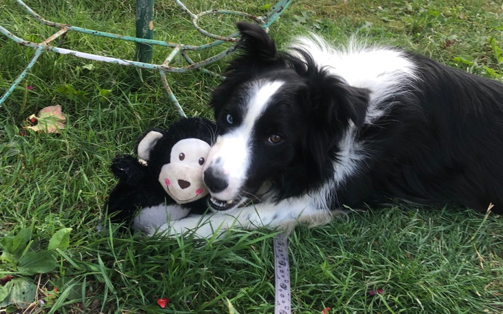 Zbiórka Nero2 - zdjęcie główne