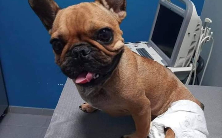 Zbiórka Pomóż ARI odzyskać sprawność - zdjęcie główne