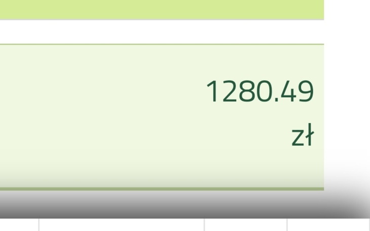 Zbiórka Zbiórka dla młodej osoby - zdjęcie główne