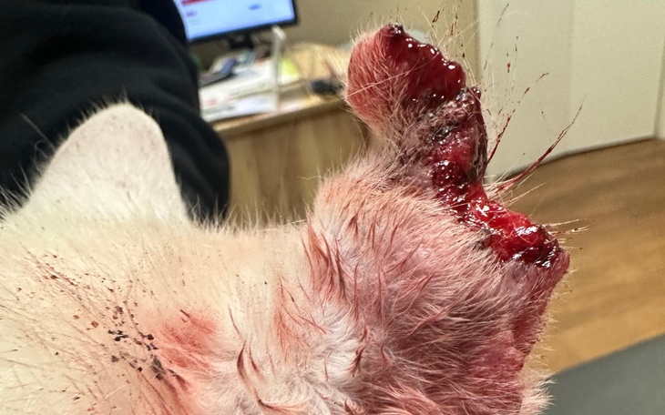 Zbiórka Pozwól mi żyć, daj mi szansę - zdjęcie główne