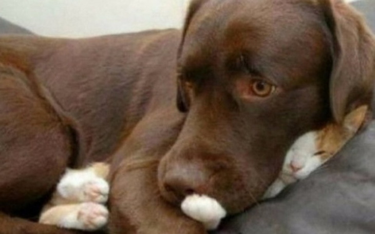 Zbiórka Zostawmy ich razem - zdjęcie główne