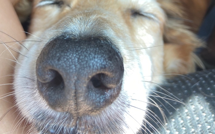 Zbiórka Mikołajki dla Bezdomniaków - zdjęcie główne