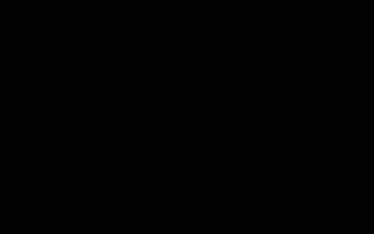 Zbiórka Wakacjeeeeee - zdjęcie główne