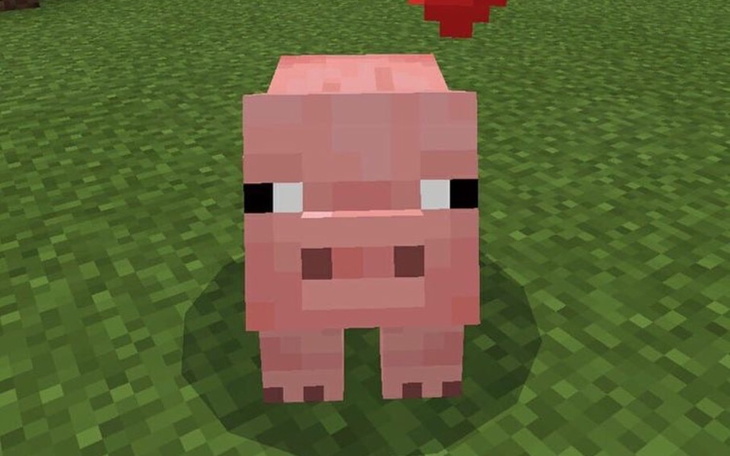 Zbiórka Łóżko dla biednego wruszchy - zdjęcie główne