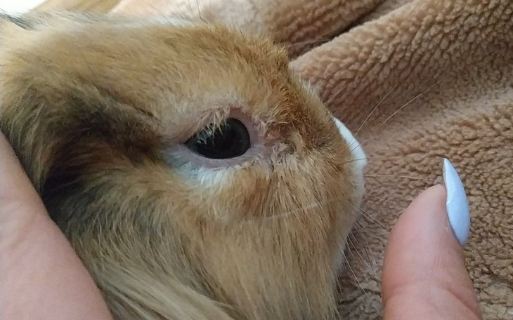 Zbiórka Zbieramy na badania - zdjęcie główne