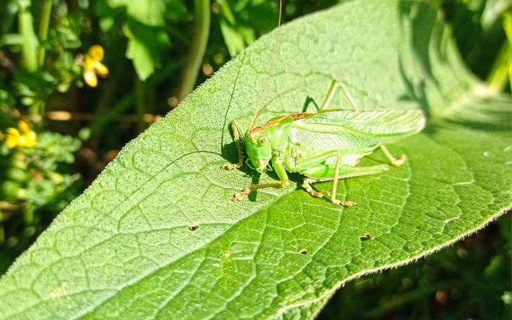 Zbiórka Test_wspieram bezdomnych - zdjęcie główne